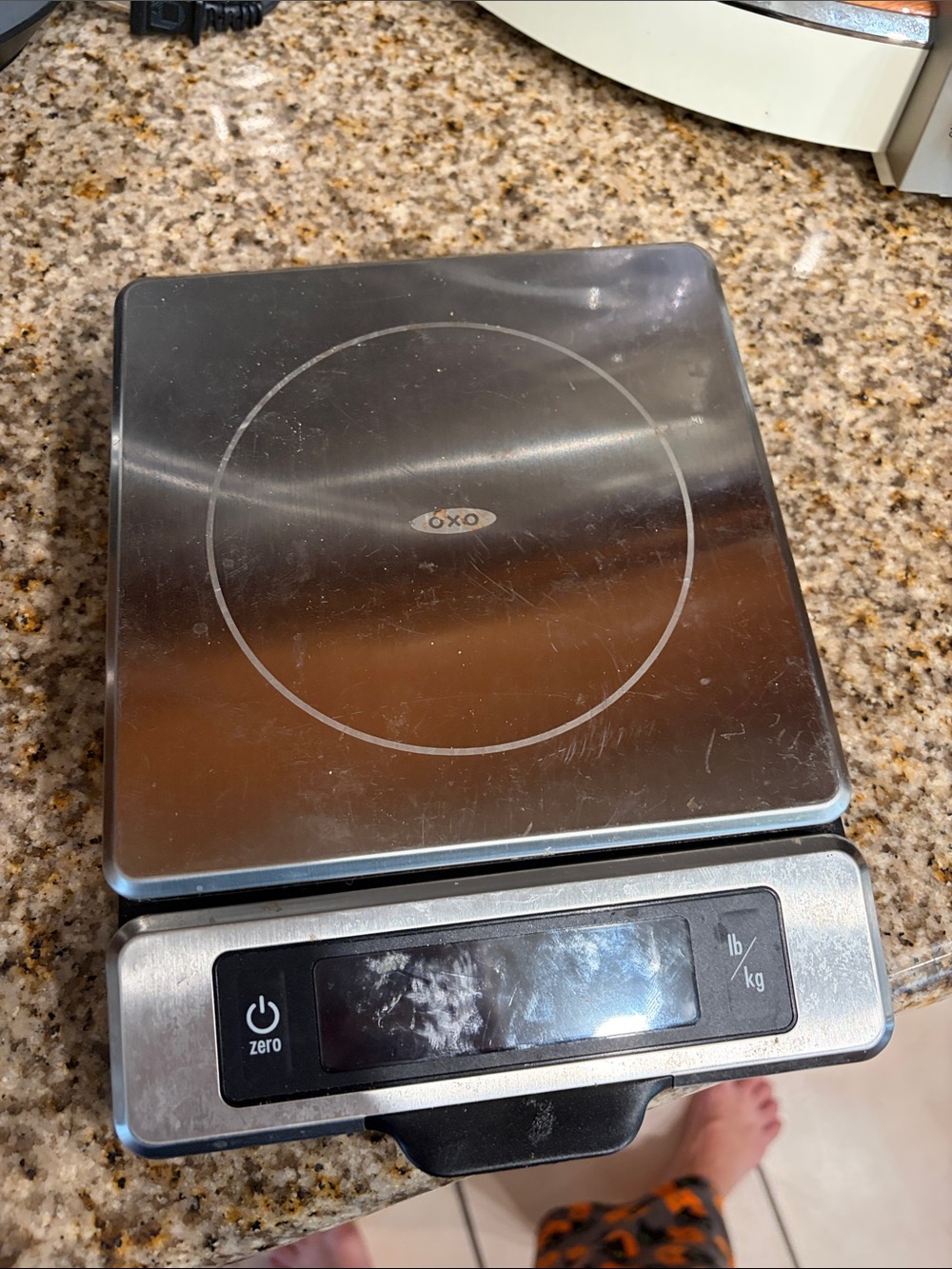 OXO Stainless Steel Kitchen Scale in Silver